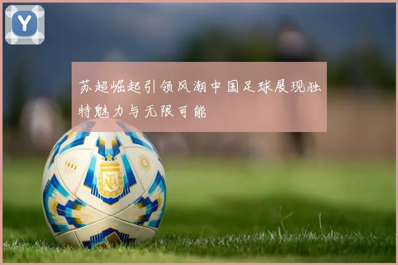 苏超崛起引领风潮中国足球展现独特魅力与无限可能
