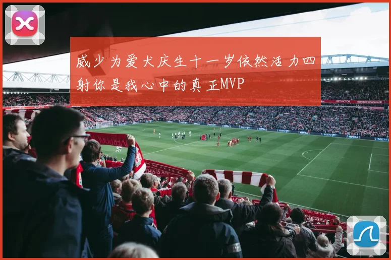 威少为爱犬庆生十一岁依然活力四射你是我心中的真正MVP